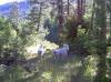 Guardian Acres 2 Tatras